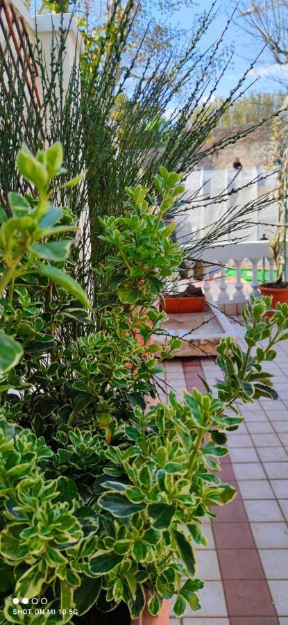 Residenza Porta Brescia Peschiera del Garda Exterior foto